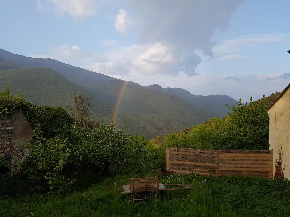 Domaine Des Massols Panzió Marsat Kültér fotó